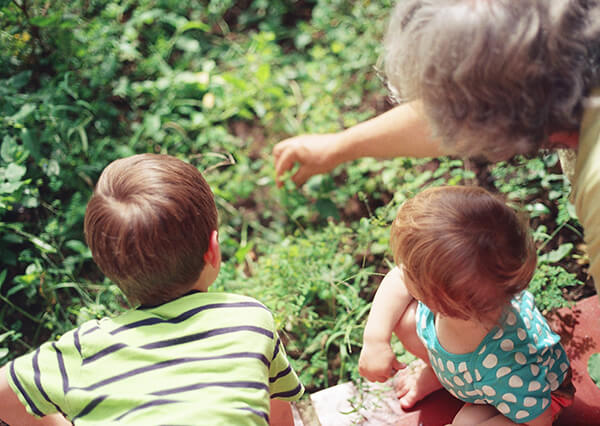 grandparents vs daycare